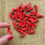 Cornicello portafortuna in sale